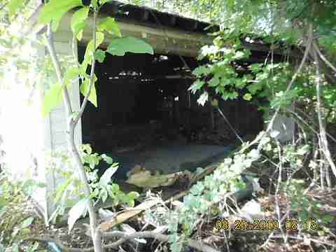 12380 Wade (6)_m.jpg